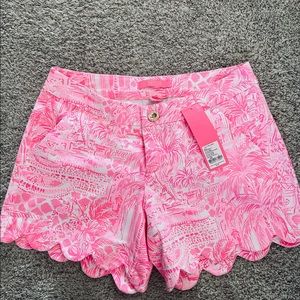 Adorable never worn scalloped shorts